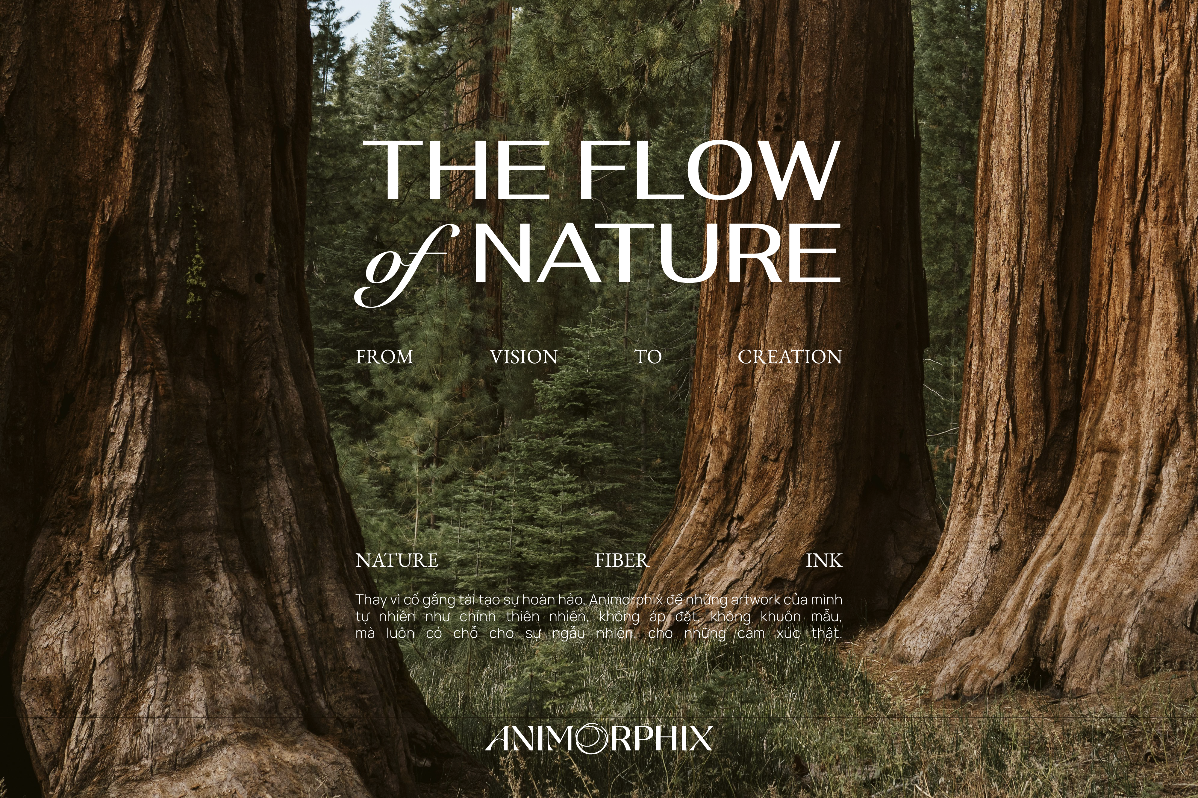 SELF COLLECTION & "The Flow of Nature" – Lời tri ân đến thiên nhiên