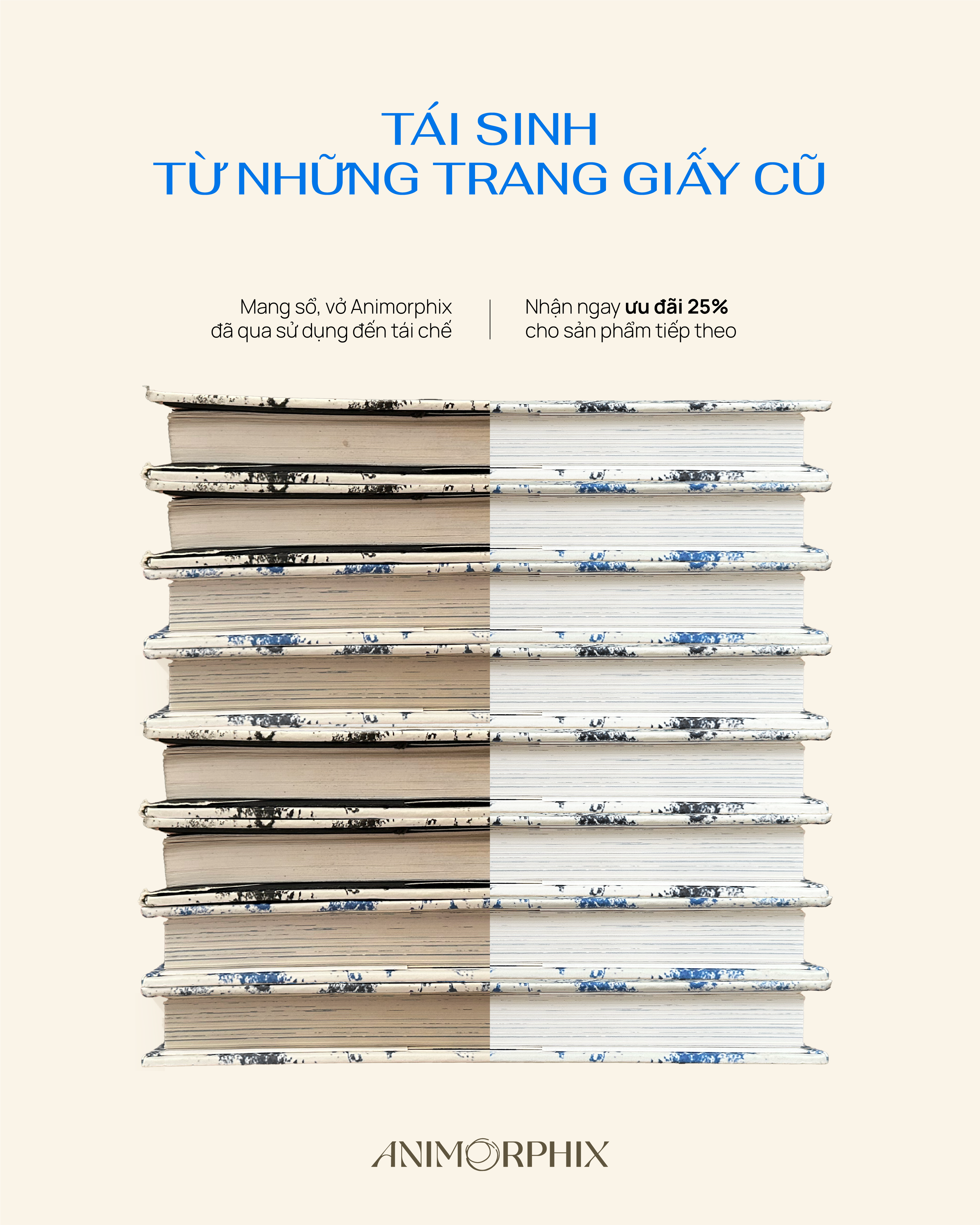 Tái Sinh Từ Những Trang Giấy Cũ – Hành Trình Tái Chế Cùng Animorphix