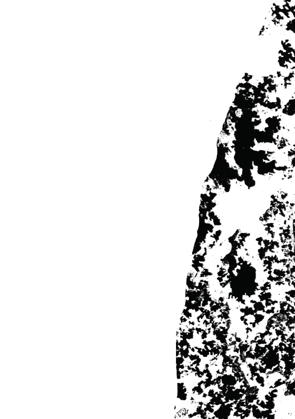 Ashes
