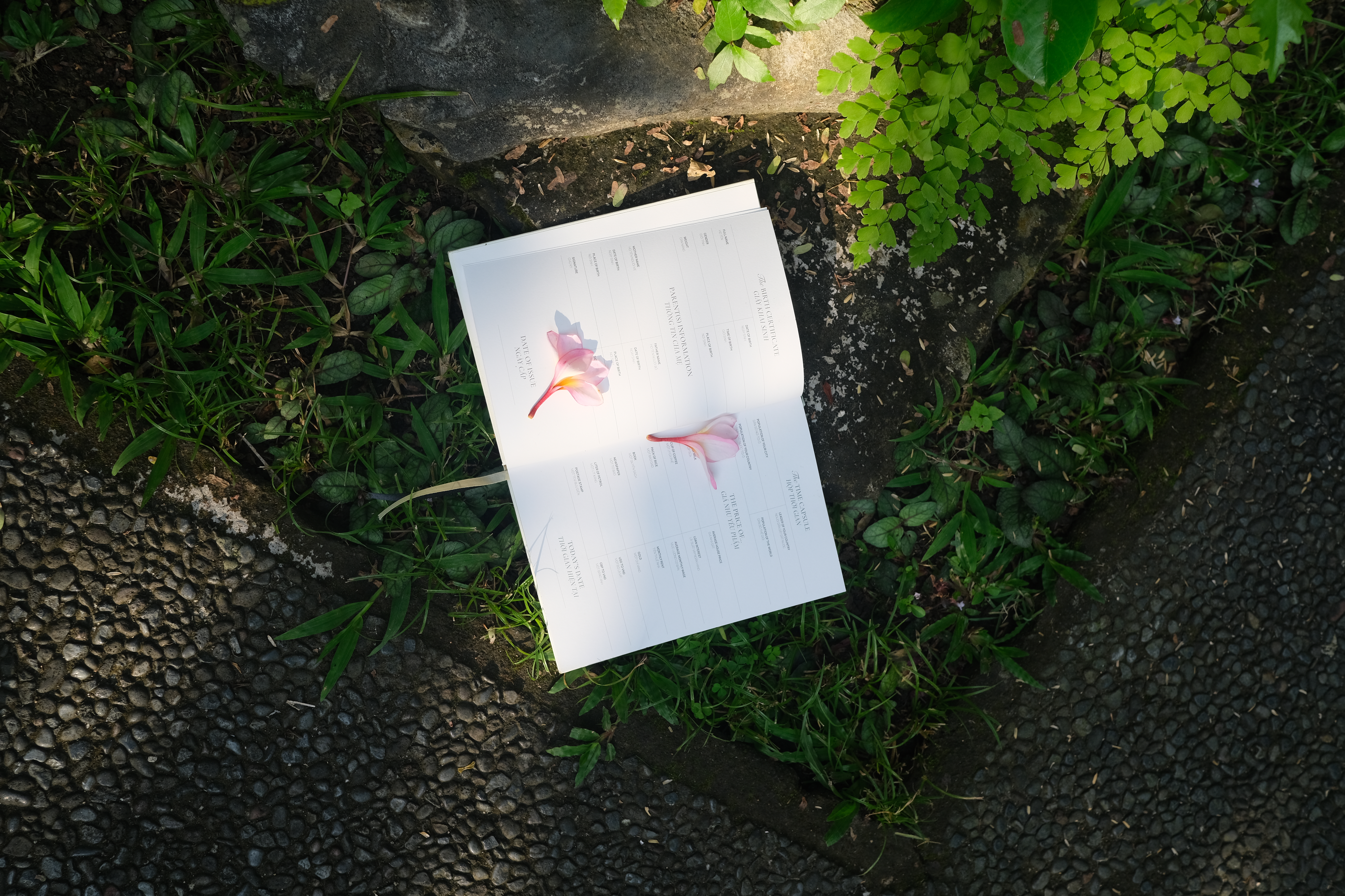 Fragments To Whole Special Edition Journal