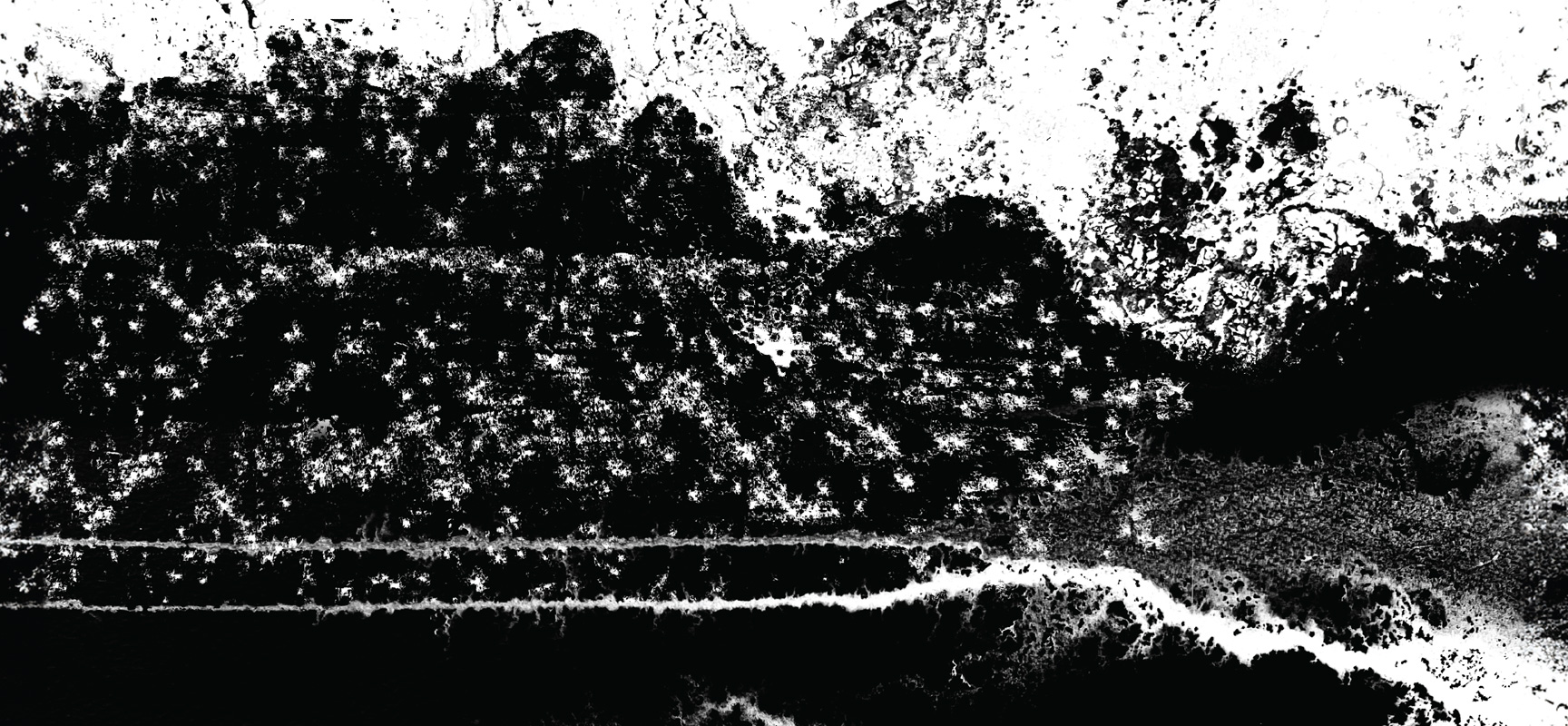 Animorphix